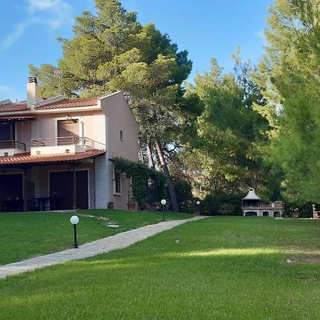 Апартаменти Sithonia Alekos Luxury Experience Метаморфосі Екстер'єр фото